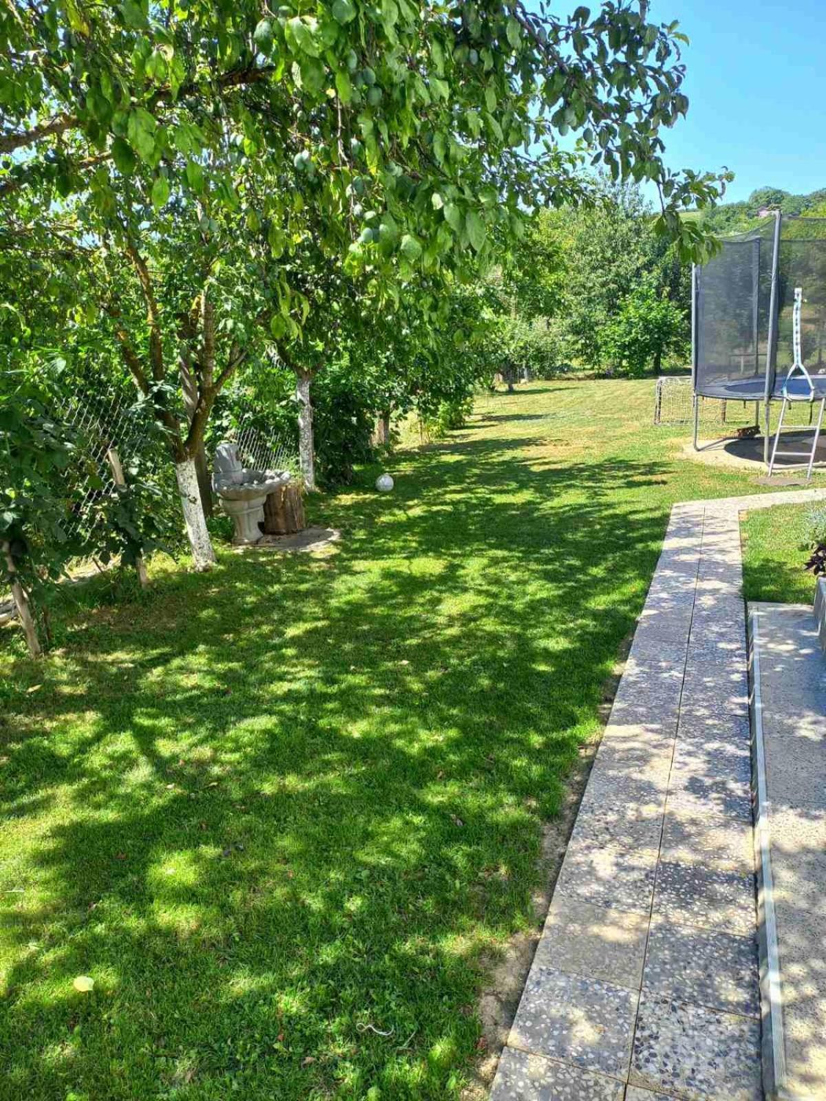 Apartman Flora Vrdnik Ngoại thất bức ảnh